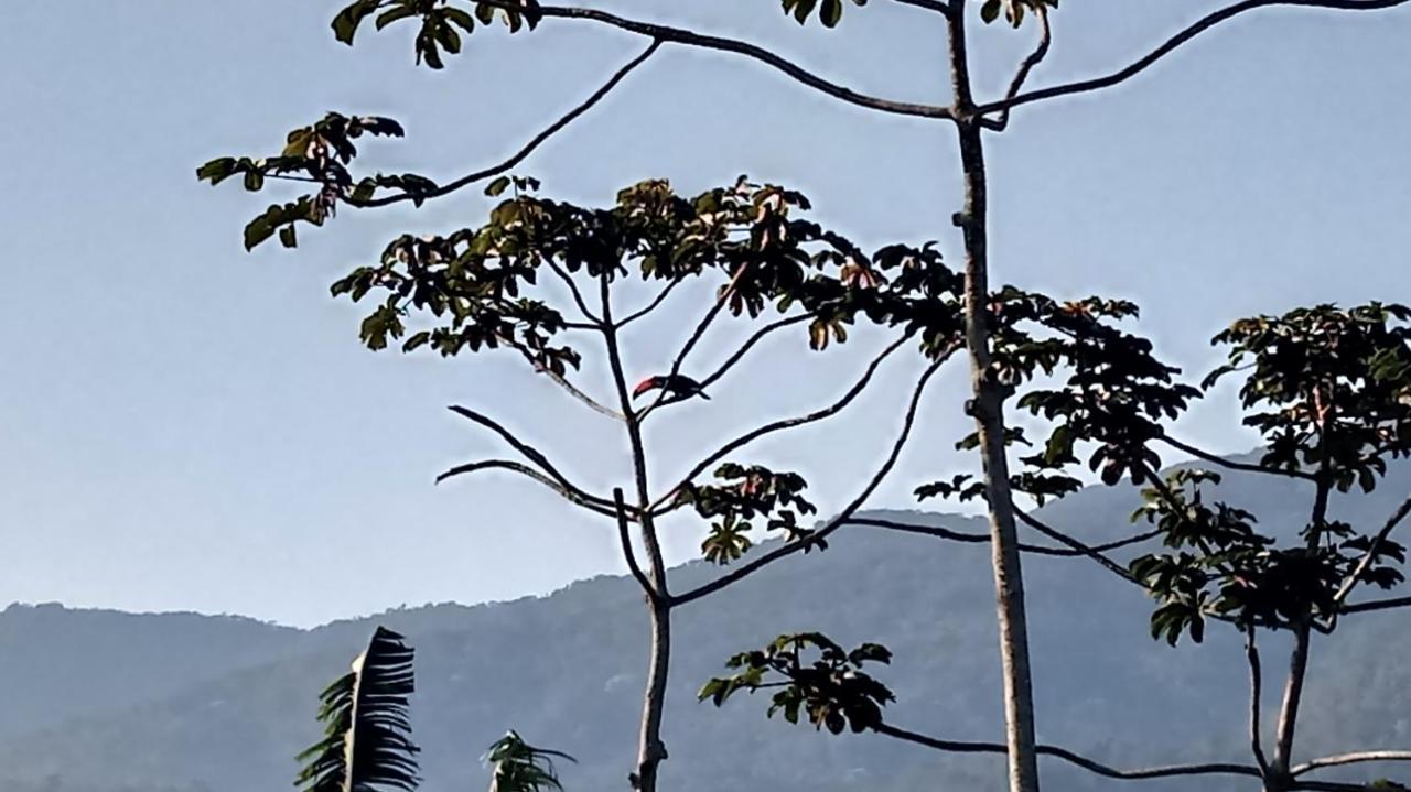 Casa De Montanha Na Praia Ilhabela Eksteriør bilde